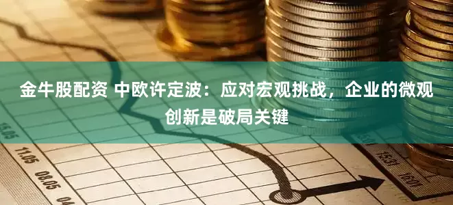 金牛股配资 中欧许定波：应对宏观挑战，企业的微观创新是破局关键